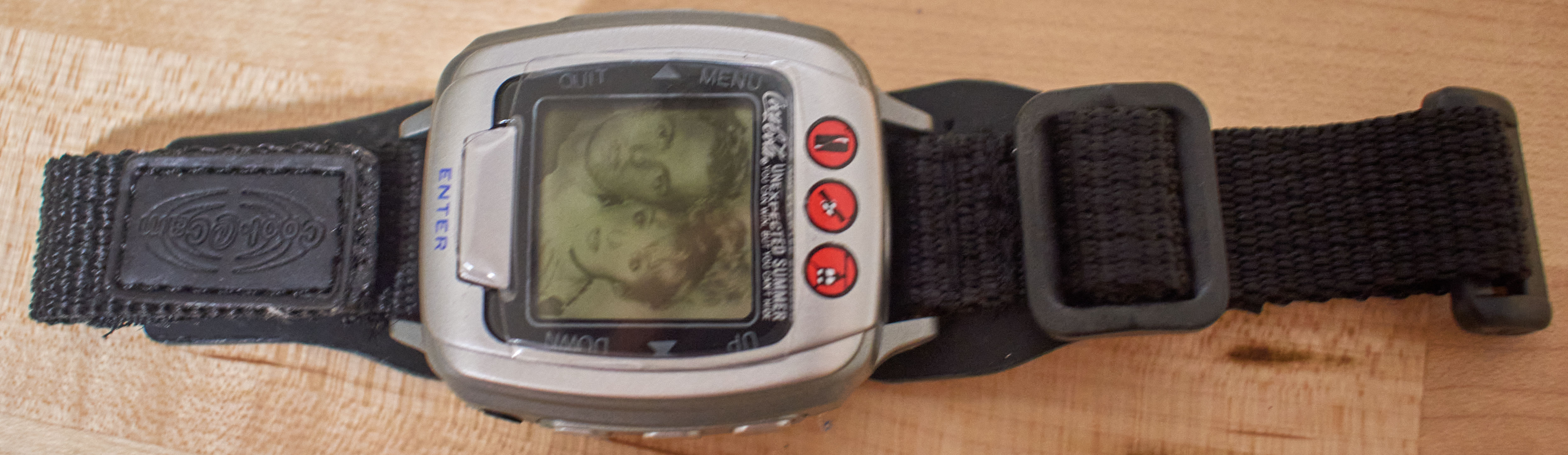 Chunky gray wristwatch with monochrome screen and black straps